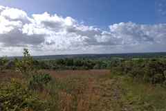 03_Doville_R-Brigitte_P