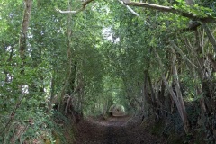 12_Doville_R-Brigitte_P