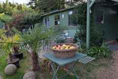 19_Vauville-Jardin_Botanique-Brigitte_P