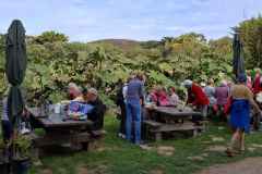 21_Vauville-Jardin_Botanique-Brigitte_P