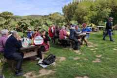 23_Vauville-Jardin_Botanique-Brigitte_P