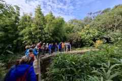 31_Vauville-Jardin_Botanique-Brigitte_P