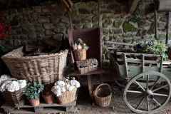 36_Vauville-Jardin_Botanique-Brigitte_P