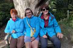 41_Vauville-Jardin_Botanique-Brigitte_P