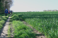 08_Suce-Mazerolles-Muriel_F