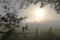 03_Suce-La_Baraudiere-Muriel_F