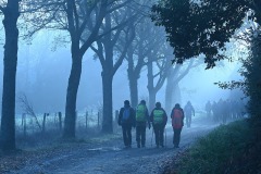 04_Suce-La_Baraudiere-Muriel_F