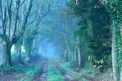 05_Suce-La_Baraudiere-Muriel_F