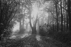 07_Suce-La_Baraudiere-Muriel_F