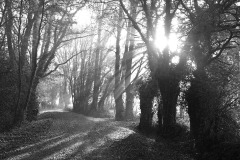 08_Suce-La_Baraudiere-Muriel_F