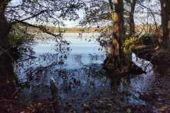 18_Suce-La_Baraudiere-Muriel_F