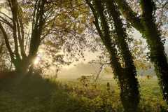 19_Suce-La_Baraudiere-Muriel_F