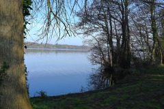03_Suce-Baraudiere-Muriel_F
