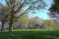 04_Suce-Baraudiere-Muriel_F
