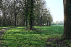 07_Suce-Baraudiere-Muriel_F