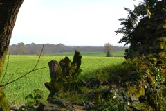 17_Suce-Baraudiere-Muriel_F