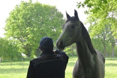03_Suce-sur-Edre-MD-Muriel