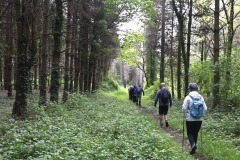 08_Suce-sur-Edre-MD-Muriel
