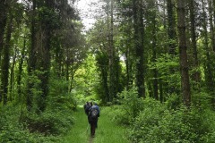 09_Suce-sur-Edre-MD-Muriel