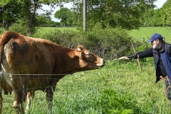 16_Suce-sur-Edre-MD-Muriel