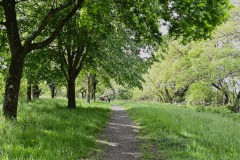 20_Suce-sur-Edre-MD-Muriel