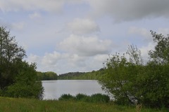 21_Suce-sur-Edre-MD-Muriel