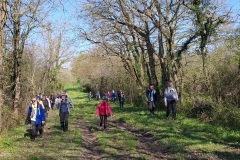 04_Trans-sur-Erdre-BrigitteP