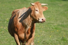 08_Trans-sur-Erdre-MurielF