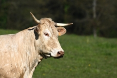 09_Trans-sur-Erdre-MurielF