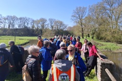 12_Trans-sur-Erdre-BrigitteP