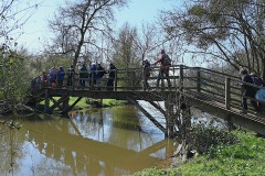 15_Trans-sur-Erdre-MurielF