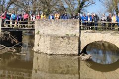 19_Trans-sur-Erdre-MurielF