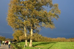 04_Treffieux-Muriel_F