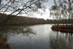 14_Treffieux-Brigitte_P