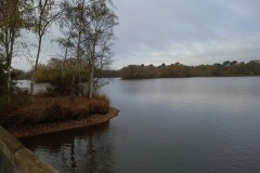 15_Treffieux-Brigitte_P