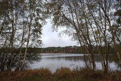 20_Treffieux-Brigitte_P