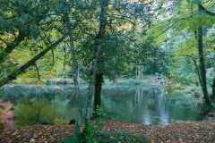 03_Treillieres-Muriel_F