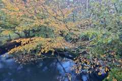 09_Treillieres-Muriel_F