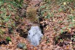 04_La_Paquelais-Nathalie_C