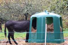 05_La_Paquelais-Nathalie_C