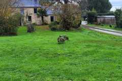 11_La_Paquelais-Nathalie_C