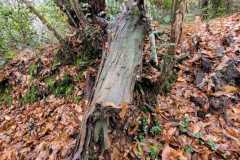 12_La_Paquelais-Nathalie_C