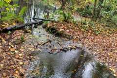 13_La_Paquelais-Nathalie_C