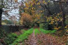 18_La_Paquelais-Nathalie_C